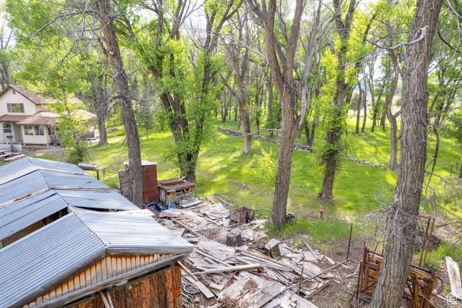 View of yard | Image 37