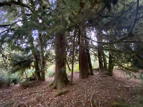 000 Dellmoor Loop, Warrenton, OR, 97146 | Card Image