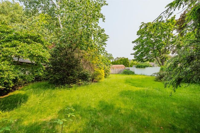 View of yard | Image 5