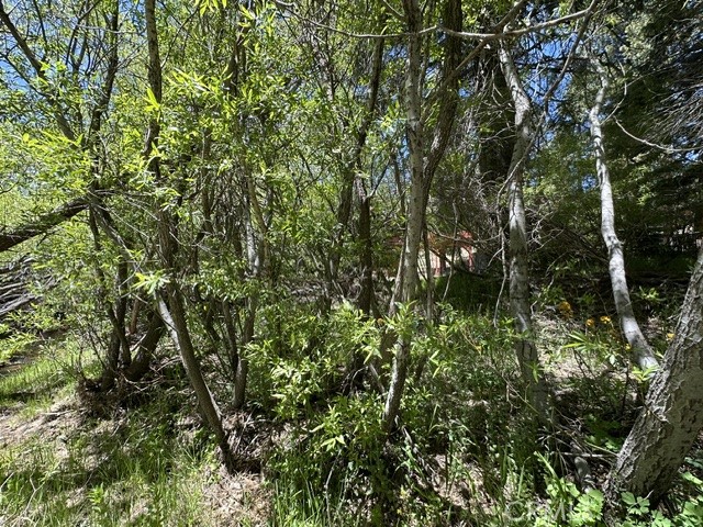 Land in Green Valley Lake 5