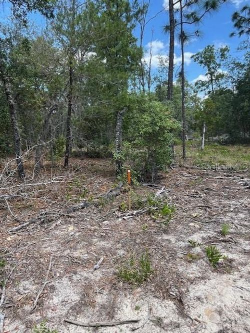 48-and-49-TBD Sw 57th Avenue, Interlachen, FL, 32148 | Card Image