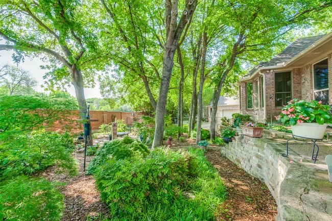 Natural trees greace the backyarad. | Image 5