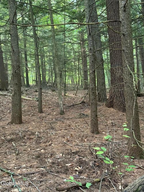 344 Dixon Hill Rd, Diamond Point, NY, 12824-2522 | Card Image