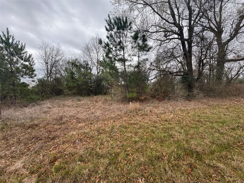 TBD Fm 980 Rd, Pointblank, TX, 77364 | Card Image