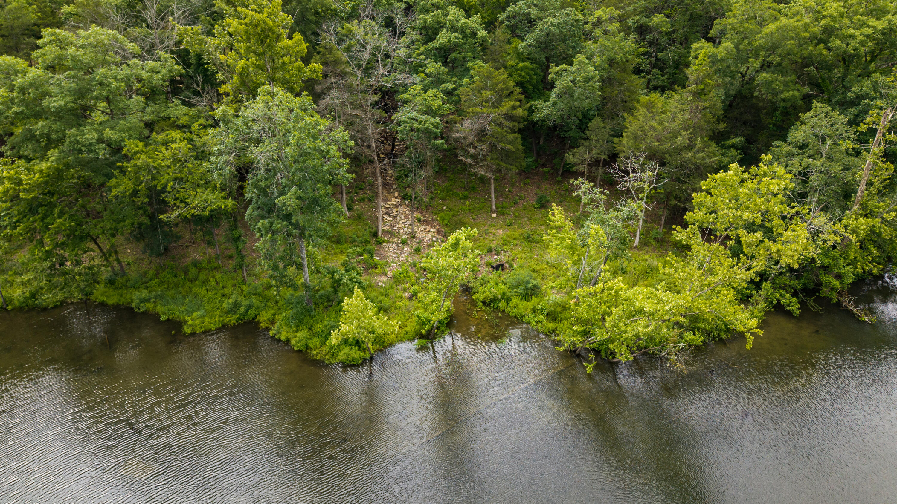 Land in Kirbyville 5