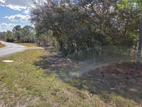 TBD Ne 14th Pl, WILLISTON, FL, 32696 | Card Image