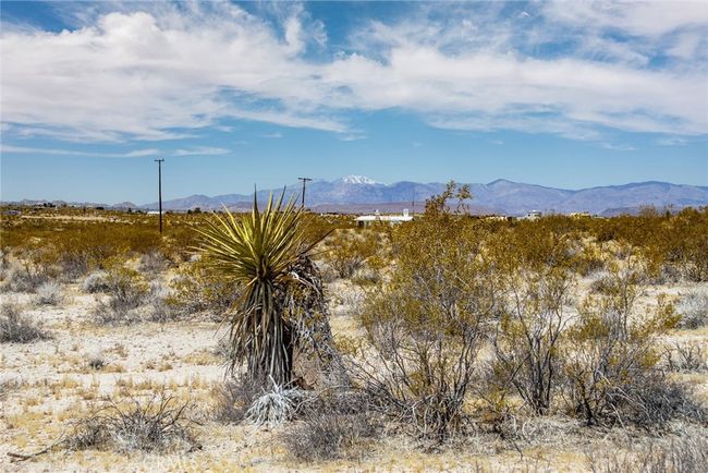 2830 Polaris Ave, Home with 0 bedrooms, 0 bathrooms and null parking in Joshua Tree CA | Image 4