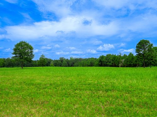 D-4 79 Highway, Homer, LA, 71040 | Card Image