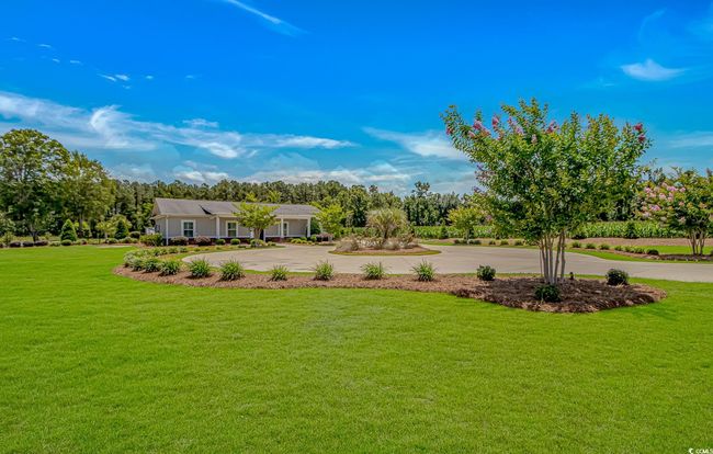 View of green lawn featuring curved driveway and view of scattered trees | Image 30