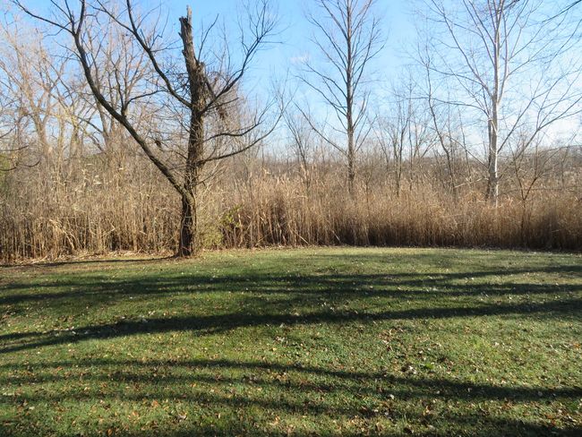 22503 State St, House other with 4 bedrooms, 3 bathrooms and 2 parking in Steger IL | Image 26