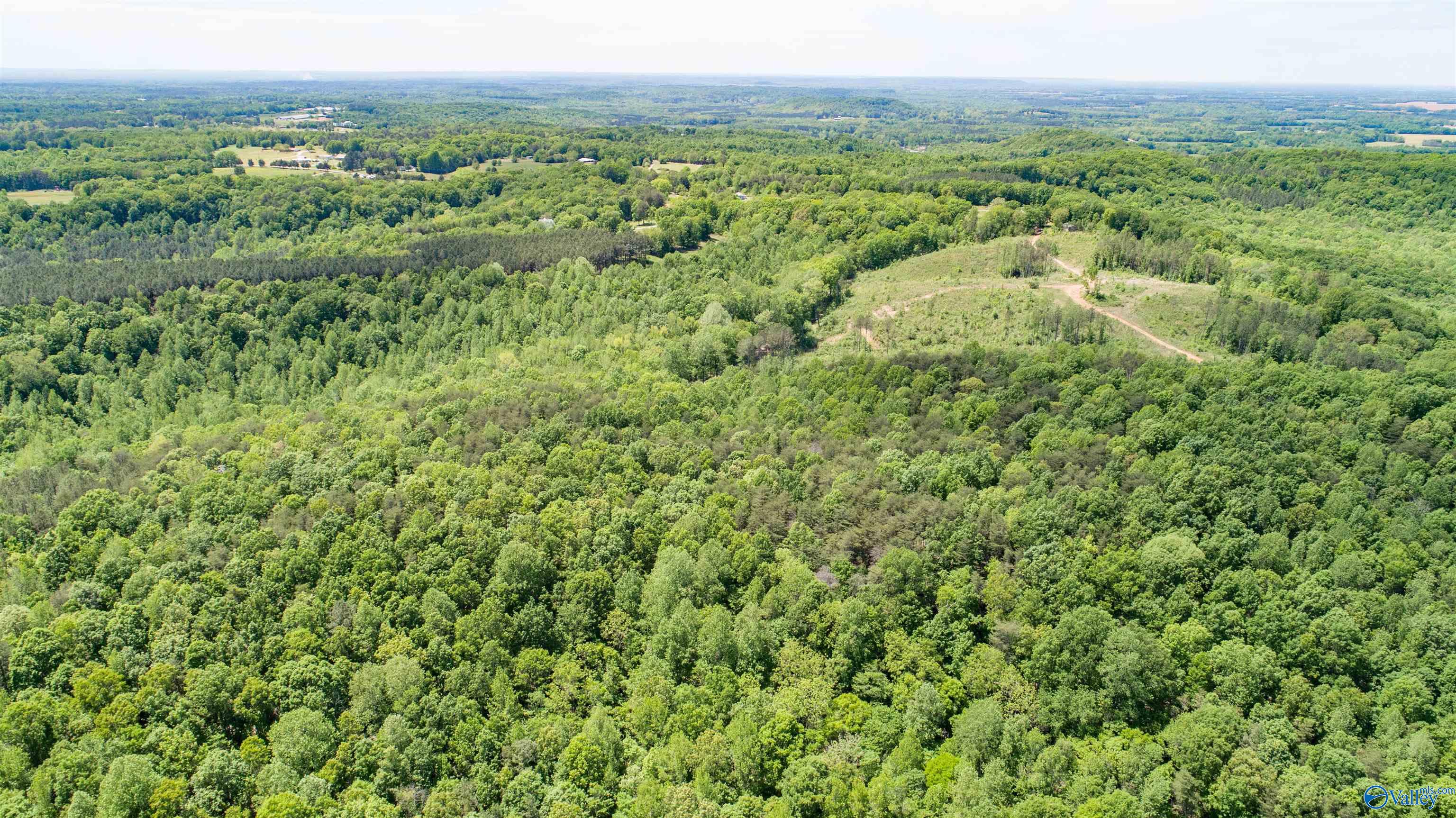 110+/ ACRES County Road 262, For Sale in Town Creek Zoocasa