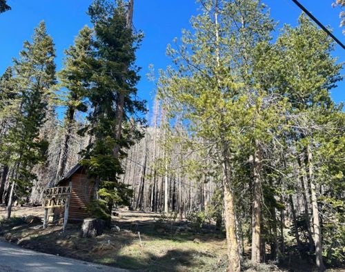 7177 Sierra Pines Road, Twin Bridges, CA, 95735 | Card Image