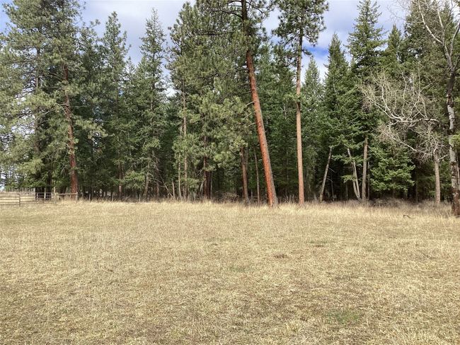 1 Eagle Pass Road, Home with 0 bedrooms, 0 bathrooms and null parking in Charlo MT | Image 13