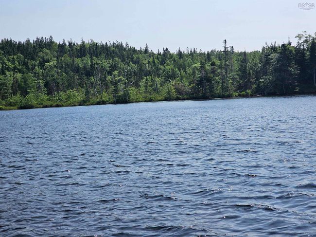 138 Grand Mira South Rd, House other with 3 bedrooms, 1 bathrooms and null parking in Marion Bridge NS | Image 13
