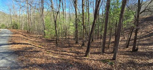12-LOT 12 Oak Loop, Mineral Bluff, GA, 30559-2448 | Card Image