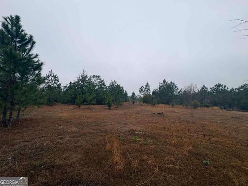 0 Hill Top Rd, Baxley, GA, 31513 | Card Image