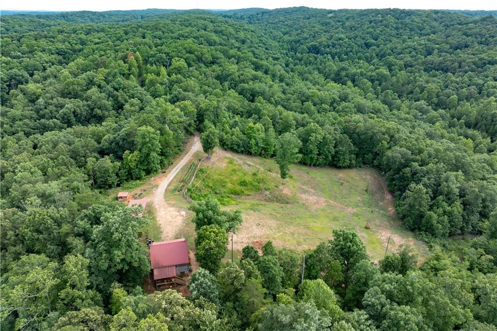 Black Bear Holw, Dahlonega, GA 30533