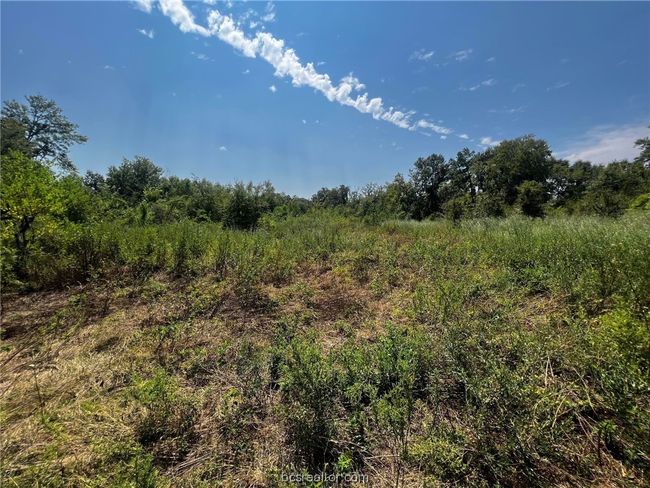 30 Fm 1486, Home with 0 bedrooms, 0 bathrooms and null parking in Richards TX | Image 7