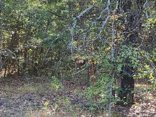0 County Road 1158, Brashear, TX, 75420 | Card Image
