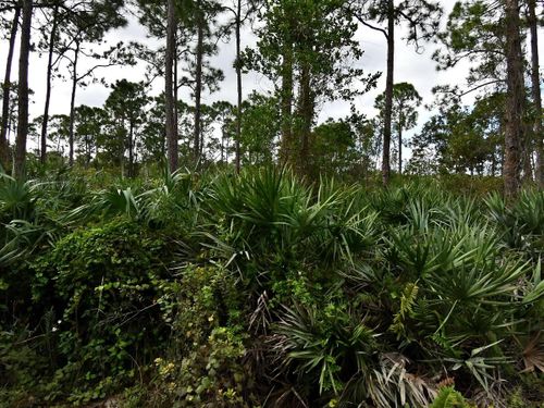 0 Tree Top Trail, Lakewood Park, FL, 34951 | Card Image