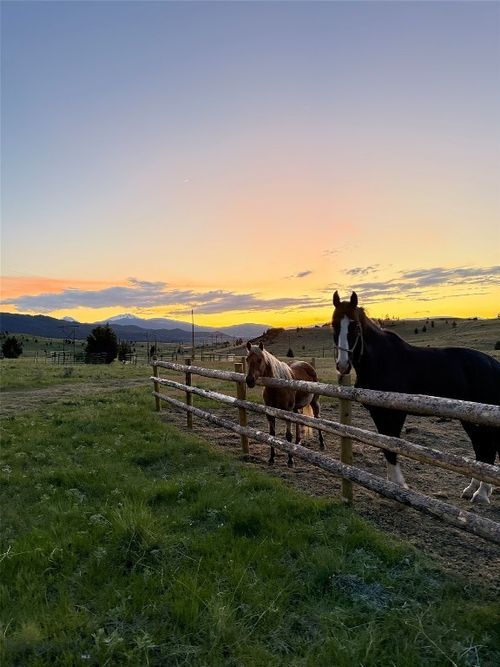 1 Gregson, Ramsay, MT, 59748 | Card Image