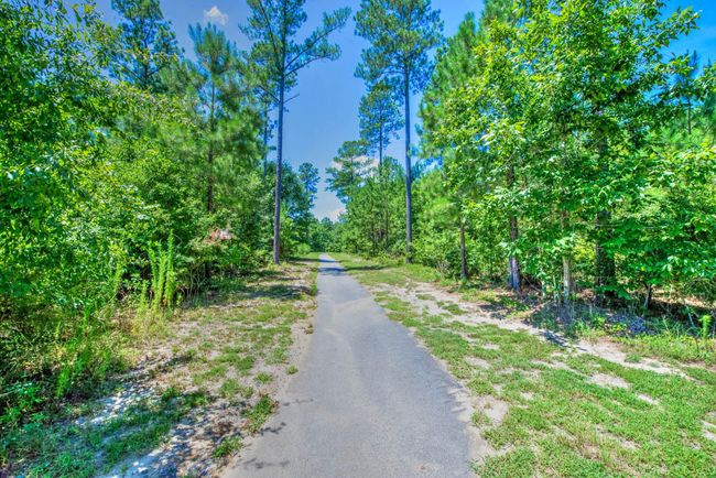 3039 Tarleton Ct, House other with 4 bedrooms, 3 bathrooms and null parking in Beech Island SC | Image 52