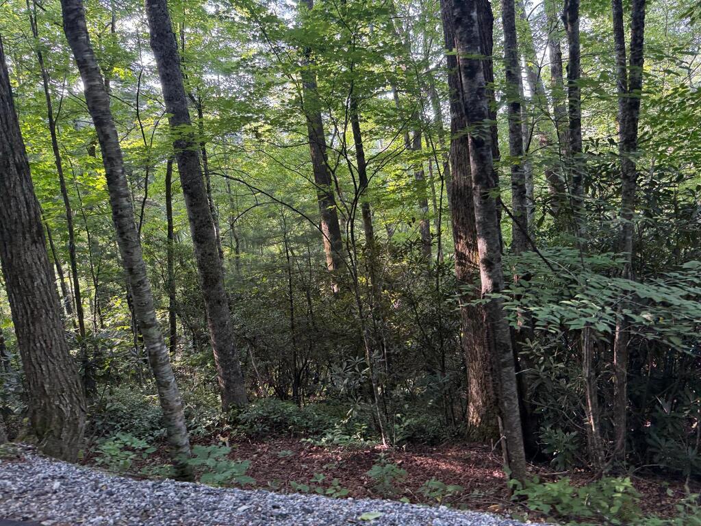 Land in Cashiers