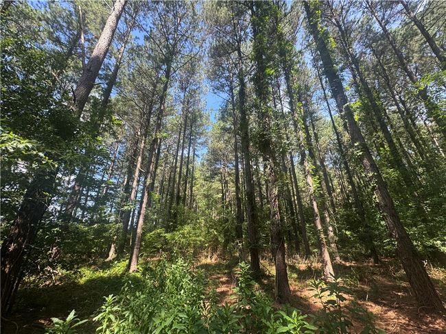 3 Rogers Rd, Home with 0 bedrooms, 0 bathrooms and null parking in Pendleton SC | Image 8