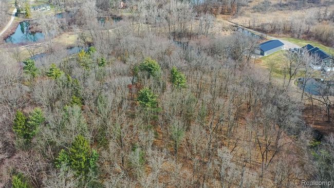 Woods with trail | Image 50