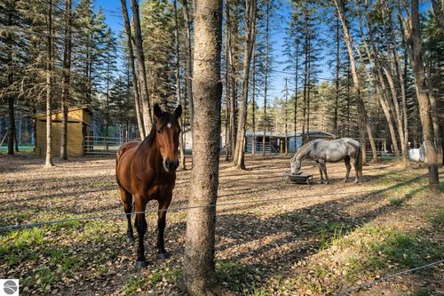 134 Menominee Trl, Buckley, MI, 49620-9521 | Card Image