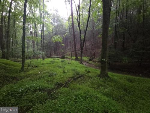 0 Spriggle Hollow Rd, ELLIOTTSBURG, PA, 17024 | Card Image