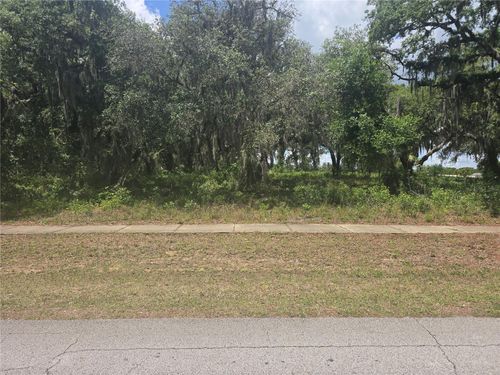 25313 Madison Street, ASTATULA, FL, 34705 | Card Image