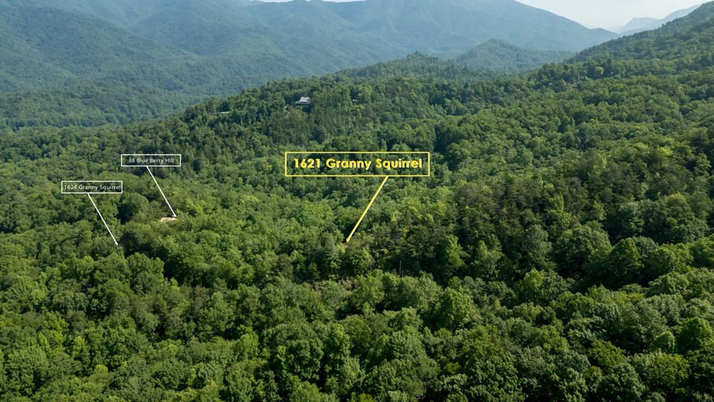 Land in Andrews 3