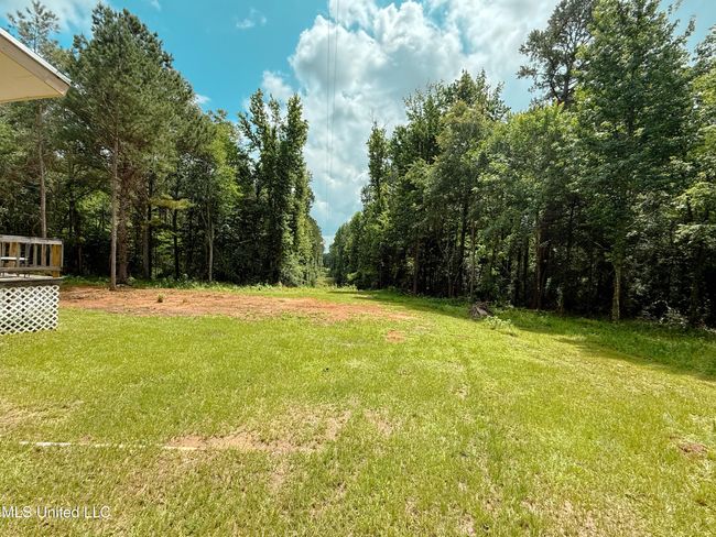 backyard | Image 4