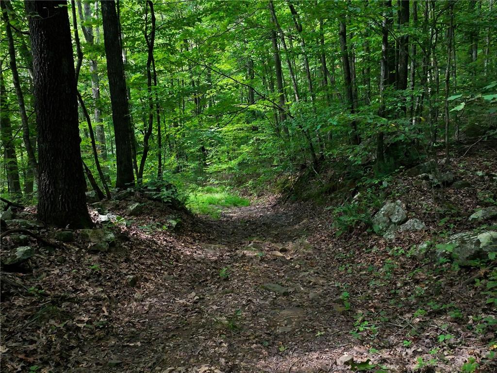 Land in Deer 5