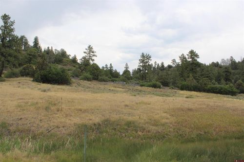 121 Elbert Pl, Pagosa Springs, CO, 81147 | Card Image