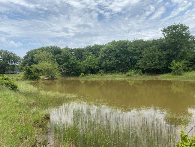 790 4691, Home with 0 bedrooms, 0 bathrooms and null parking in Baird TX | Image 21