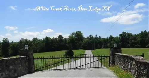 359 White Creek Dr, Deer Lodge, TN, 37726 | Card Image