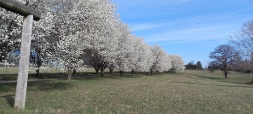 000 W Copper Creek Rd, Nixa, MO, 65714 | Card Image