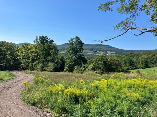 0 County Road 20, Durham, NY, 12422 | Card Image