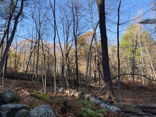 0 Tract Of Land, Ashby, MA, 01431 | Card Image