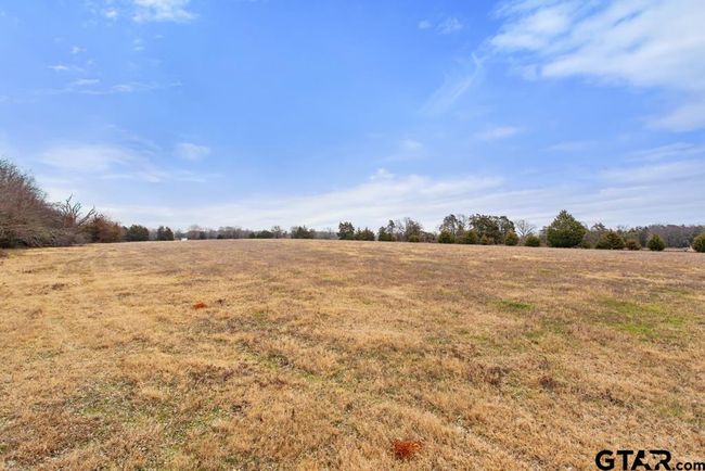 15037 State Highway 110, Home with 0 bedrooms, 0 bathrooms and null parking in Van TX | Image 32
