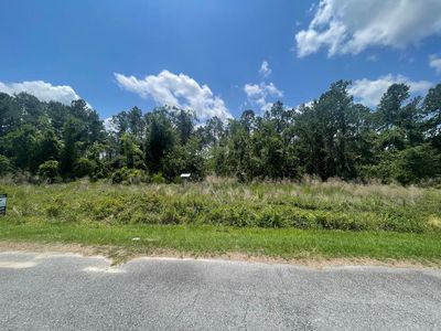 3597 M D Guess Dr, Home with 0 bedrooms, 0 bathrooms and null parking in Valdosta GA | Image 3