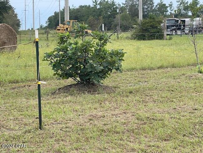 418 Mcduff Dr, House other with 2 bedrooms, 2 bathrooms and null parking in Alford FL | Image 17