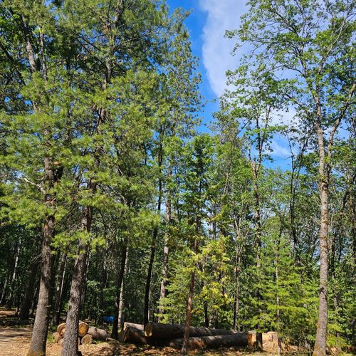 15367 Lakewood Lane, Grass Valley, CA, 95945 | Card Image