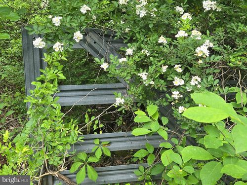 4127 Hardscrabble Rd, Linden, VA, 22642-1835 | Card Image