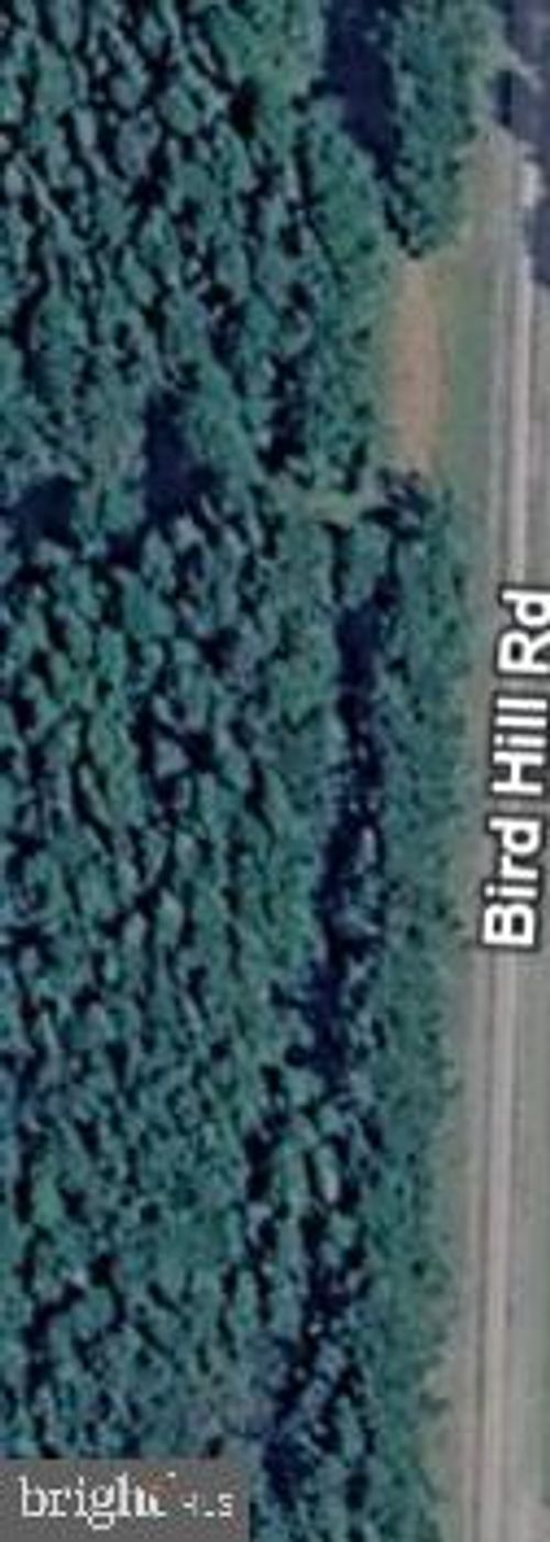 0 Bird Hill Rd, STOCKTON, MD, 21864 | Card Image