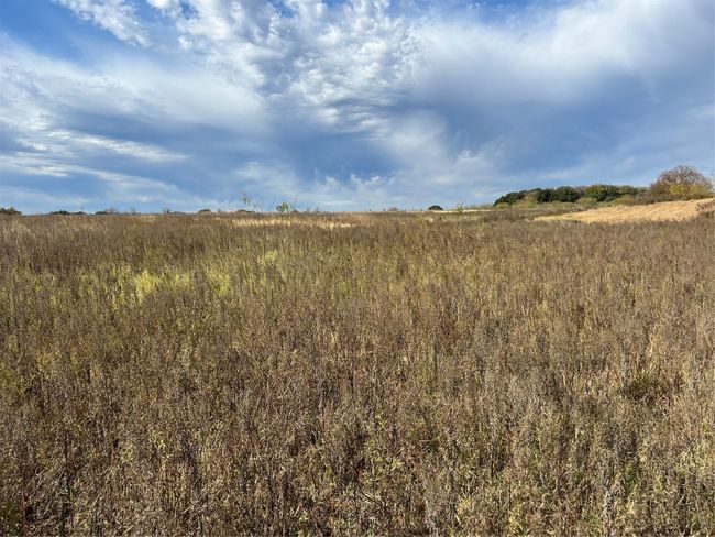 View of pasture | Image 5