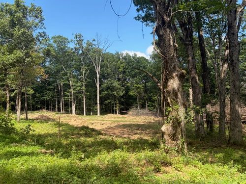 TBD Freedom Rd, Winslow, AR, 72959 | Card Image