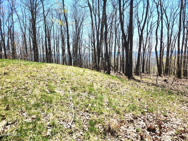 2299 Fleegle Rd, House other with 2 bedrooms, 2 bathrooms and null parking in Central City PA | Image 56